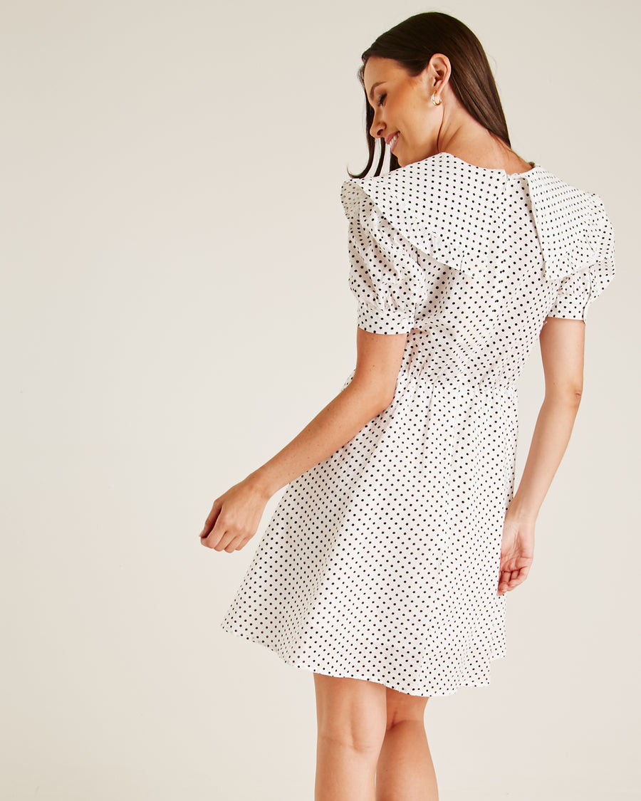 Polka Dot Collar Mini Dress